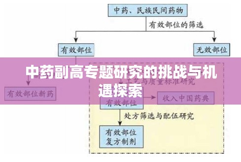 中药副高专题研究的挑战与机遇探索