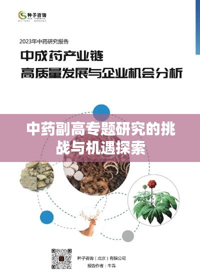 中药副高专题研究的挑战与机遇探索