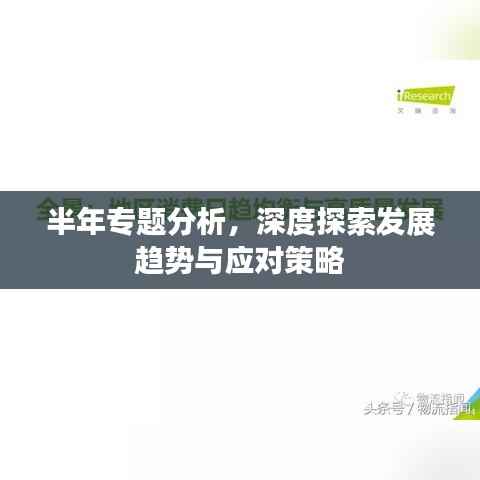 半年专题分析，深度探索发展趋势与应对策略