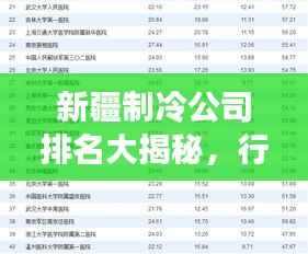 新疆制冷公司排名大揭秘,行业影响力榜单重磅出炉!