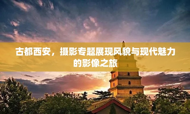 古都西安，摄影专题展现风貌与现代魅力的影像之旅