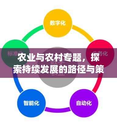 农业与农村专题,探索持续发展的路径与策略