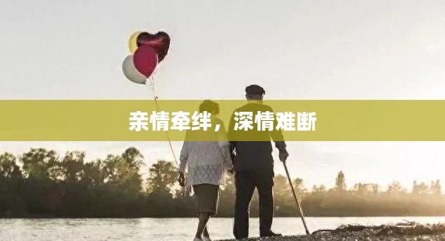 亲情牵绊,深情难断