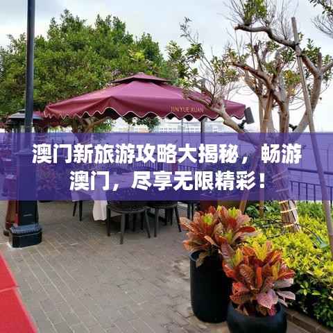 澳门新旅游攻略大揭秘，畅游澳门，尽享无限精彩！
