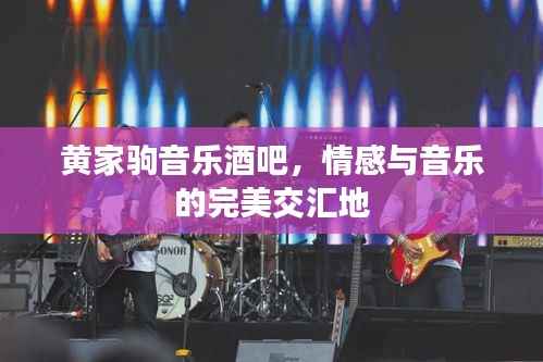 黄家驹音乐酒吧，情感与音乐的完美交汇地