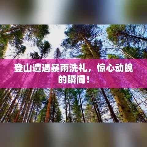 登山遭遇暴雨洗礼,惊心动魄的瞬间!