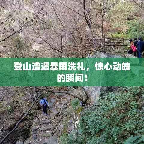 登山遭遇暴雨洗礼,惊心动魄的瞬间!