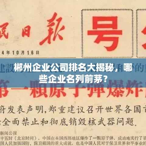 郴州企业公司排名大揭秘,哪些企业名列前茅?