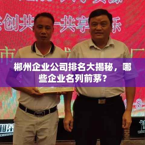 郴州企业公司排名大揭秘,哪些企业名列前茅?