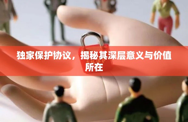 独家保护协议，揭秘其深层意义与价值所在