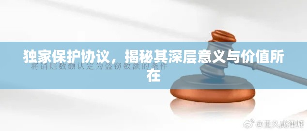 独家保护协议,揭秘其深层意义与价值所在