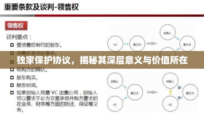 独家保护协议,揭秘其深层意义与价值所在