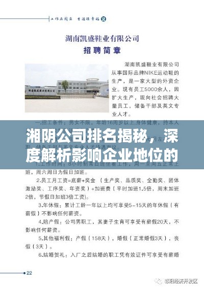 湘阴公司排名揭秘，深度解析影响企业地位的关键因素