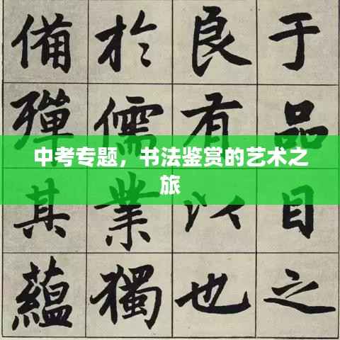 中考专题，书法鉴赏的艺术之旅
