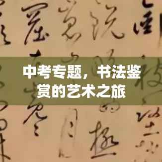 中考专题,书法鉴赏的艺术之旅