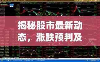 逸兴遄飞 第4页