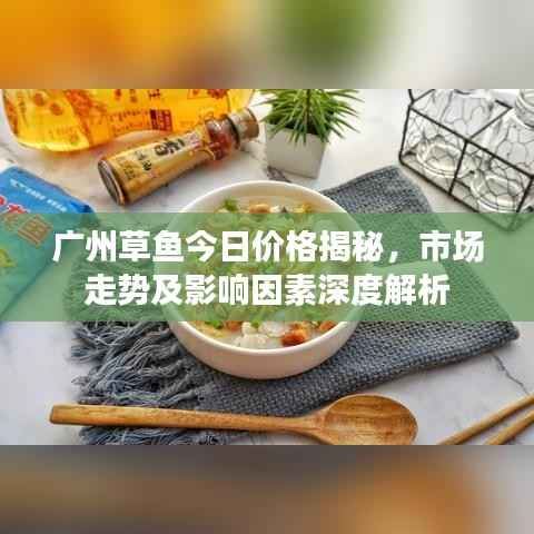 广州草鱼今日价格揭秘，市场走势及影响因素深度解析
