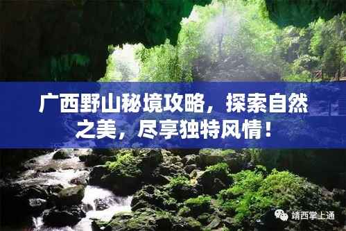 广西野山秘境攻略，探索自然之美，尽享独特风情！