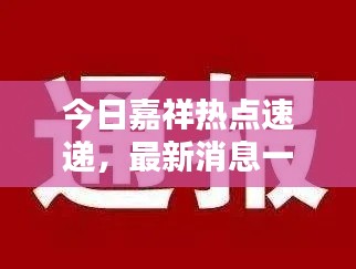 今日嘉祥热点速递,最新消息一网打尽
