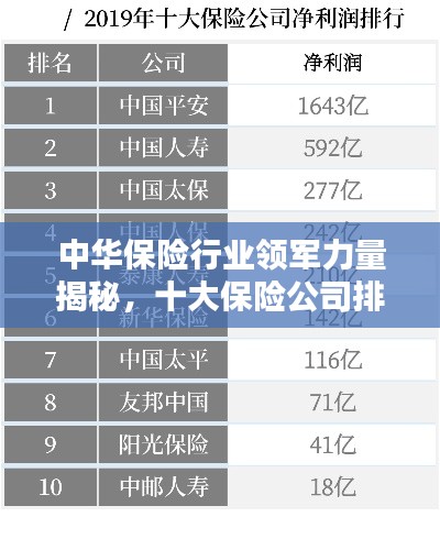 中华保险行业领军力量揭秘，十大保险公司排名解析