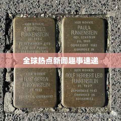 全球热点新闻趣事速递