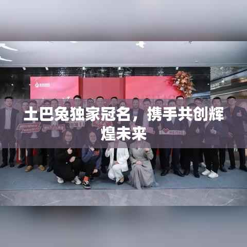 土巴兔独家冠名，携手共创辉煌未来