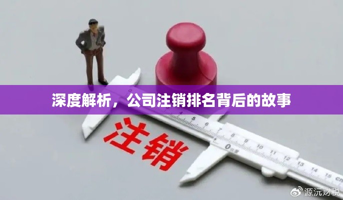 深度解析，公司注销排名背后的故事