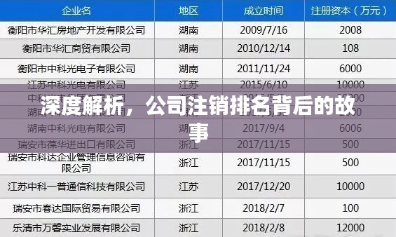 深度解析,公司注销排名背后的故事