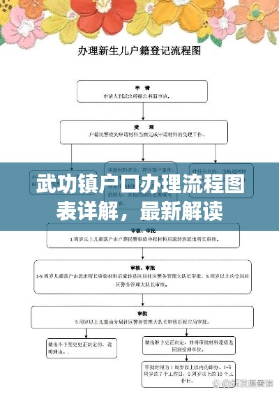 武功镇户口办理流程图表详解，最新解读