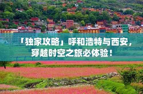 「独家攻略」呼和浩特与西安，穿越时空之旅必体验！