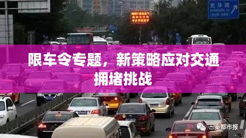 限车令专题，新策略应对交通拥堵挑战