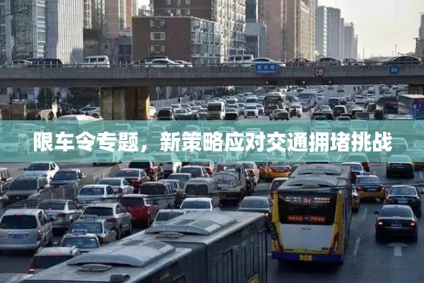 限车令专题,新策略应对交通拥堵挑战
