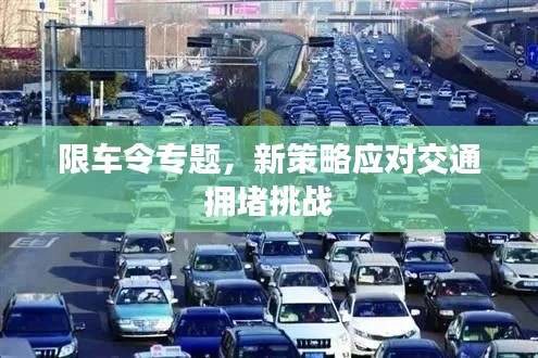 限车令专题,新策略应对交通拥堵挑战