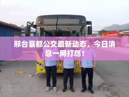 邢台襄都公交最新动态，今日消息一网打尽！