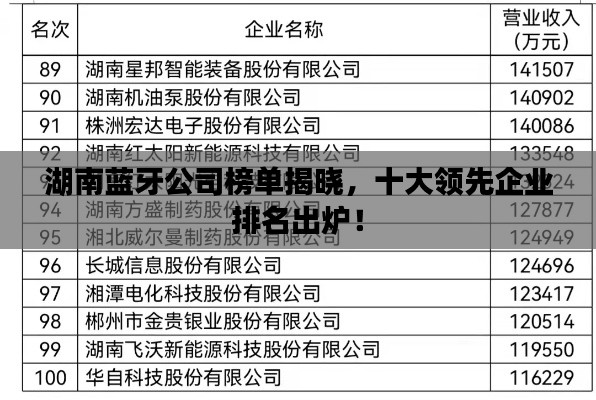 湖南蓝牙公司榜单揭晓,十大领先企业排名出炉!