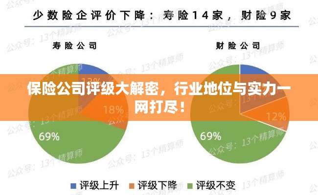 保险公司评级大解密,行业地位与实力一网打尽!