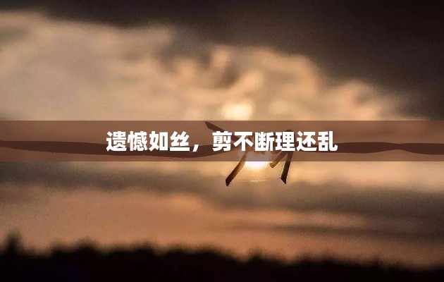 遗憾如丝，剪不断理还乱