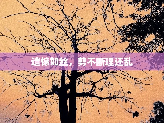 遗憾如丝,剪不断理还乱