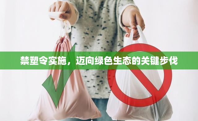 禁塑令实施，迈向绿色生态的关键步伐