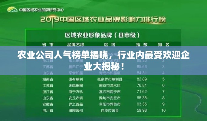 农业公司人气榜单揭晓，行业内最受欢迎企业大揭秘！