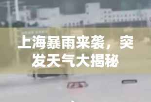 恋恋不舍 第4页