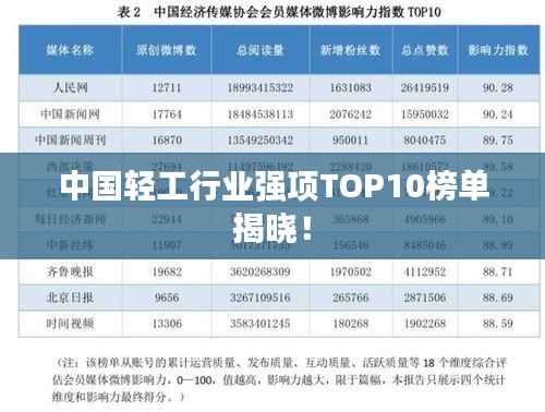 中国轻工行业强项TOP10榜单揭晓！