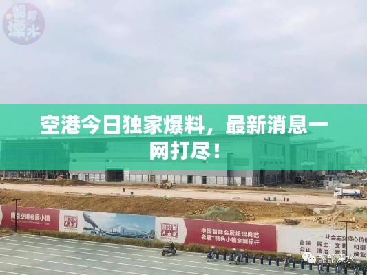 空港今日独家爆料,最新消息一网打尽!