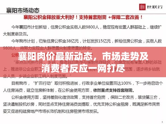 襄阳肉价最新动态，市场走势及消费者反应一网打尽
