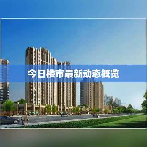 今日楼市最新动态概览