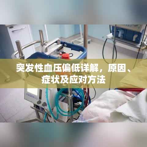 突发性血压偏低详解，原因、症状及应对方法