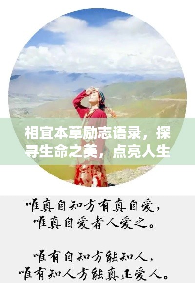 相宜本草励志语录，探寻生命之美，点亮人生光彩