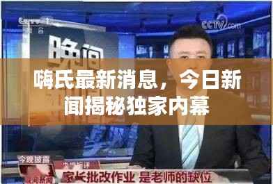 嗨氏最新消息，今日新闻揭秘独家内幕