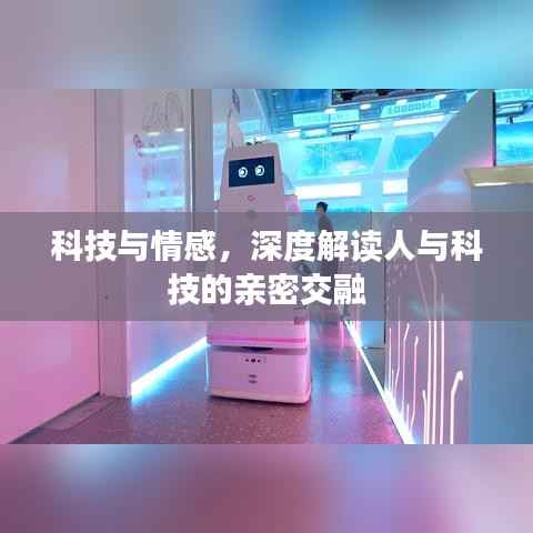 科技与情感，深度解读人与科技的亲密交融