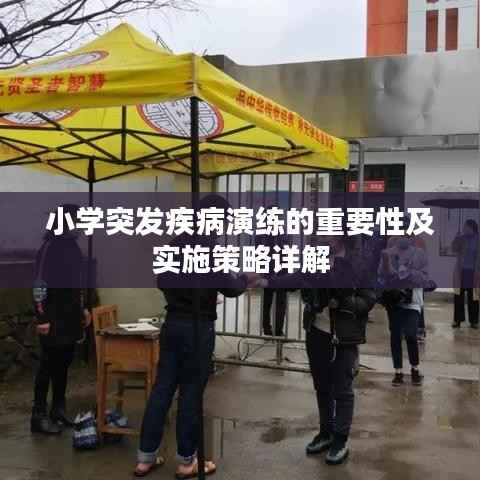 小学突发疾病演练的重要性及实施策略详解